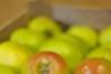 Armagh bramley apples