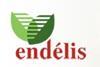 Endelis