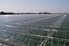 APS Salads in Kentish expansion