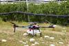 Drones and AI technology investment to meet growing consumer demand for larger and sweeter blueberries