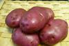 Rudolph potatoes return to Asda