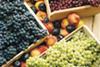 Chile fruit