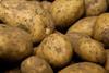farmcare potato-farming-2-700x440