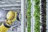 Walmart Plenty deal vertical farm Compton