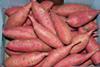 Colruyt: Verkauf belgischer Süßkartoffeln startet im Dezember