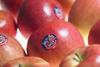 NZ Jazz apples Enza