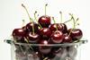 Chilean cherries bowl