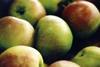 NZ apple firms unite