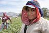 Fyffes gender equality
