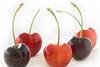 north-west cherries US