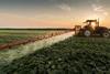 Tractor spraying vegetables Adobe Stock