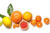 diverse Citrusfrüchte-