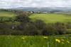 Organic land Soil Association