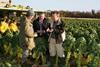 Horticulture minister Trevor Sargent (right) inspecting Brussels sprouts on the north Dublin farm of grower Enda Weldon. Also in the picture (centre) is fresh produce co-ordinator PJ Jones, of the Irish Farmers’ Association.