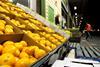 AU Adelaide Produce Market