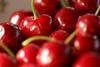 cherries