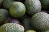 Generic avocados
