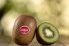 Primland Chile Oscar kiwifruit