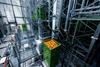 Fruitmasters Geldermalsen Web image-20250217_Smart-Fruit-Hub 07 (1)