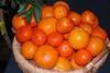 Spanien: Landwirtschaftsministerium stellt Maßnahmen zur Optimierung der Citrusindustrie vor