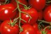 Canary Island tomatoes