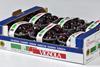 Vignola PGI cherries
