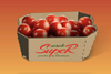 DS Smith Serele SupeR Cherry tomato packaging Romania