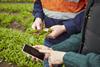 The Yield grower app