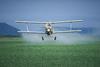 Pesticide importer wins appeal