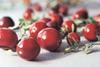 Cranberries may help ward off E.coli