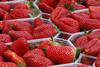 Ägypten Erdbeeren