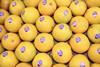 Organic Jucy Gold Raingrown Oranges Eosta Nature & More Peru Kivinaki