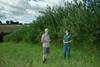 The Woodland Trust will work with farmers