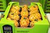 Enzed Exotics Kiwano horned melons