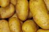 early potatoes