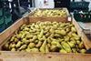 The fresh produce industry already works with food surplus charities