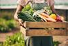 Public concern persists, a year on from the launch of the government’s food strategy