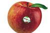 Antares apple