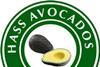 Chilean avocados have suffered from the abnormally low temperatures