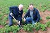 Wilson's Country MD Lewis Cunningham (left) and agronomist Stuart Meredith inspect new season potatoes in North Co Down
