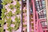 Urban Crop Solutions Agrotopia vertical farming tower