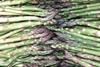 Home-grown asparagus disappoints