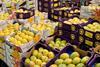 AU Australia wholesale early mango display Kensington Pride