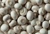 Generic mushrooms top-down Adobe Stock