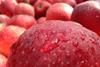 IT Bio Meran apples