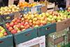 Russland: Deutliche Ausweitung der Apfelproduktion erwartet