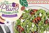 Hortgro South Africa plum campaign US 2025