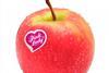Pink Lady apple