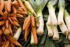 Tesco sees winter veg boom