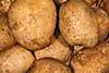 Potato
